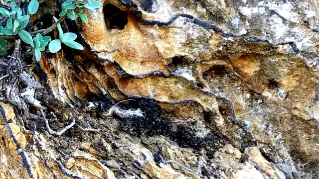 Oxydation dans les grès ocreux cénomaniens (croûtes ferrugineuses et anneaux de Liesegang)