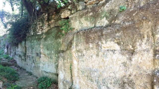 Molasse du Burdigalien - Saint-Laurent la Vernède