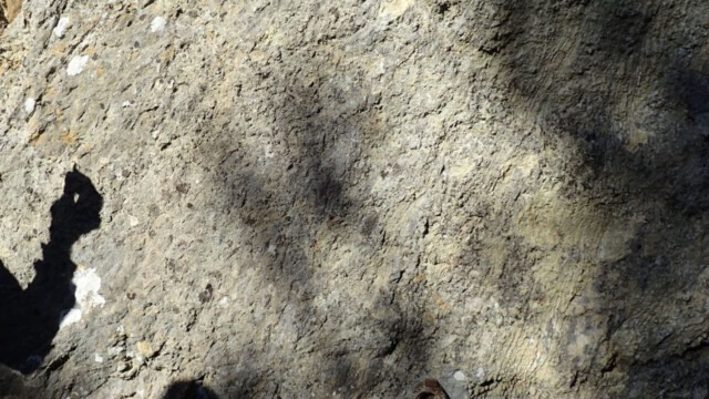 Agariens à l'étude devant les stromatolites - la Croix de Tournas (photo N. Denis-Touzillier)