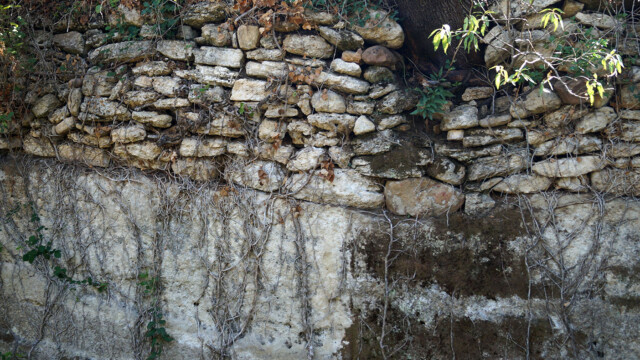 Molasse du Burdigalien (photo R. Guin)