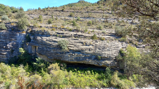Chenal sur le bord du rio (photo M. Raulet)