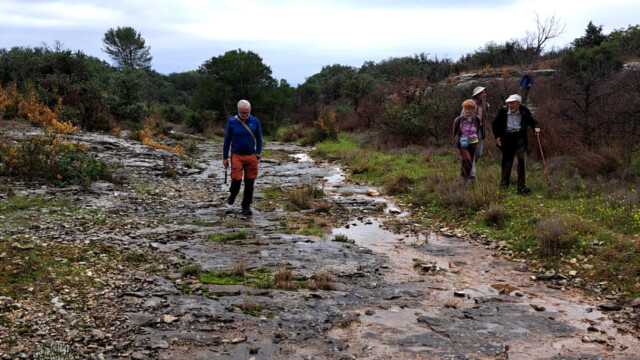 Vallée jurassique (photo S. Roels)