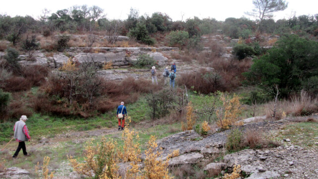 Vallée jurassique (photo JP Bouvier)