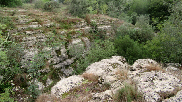 Vallée jurassique (photo JP Bouvier)