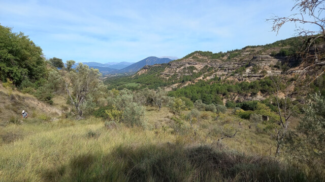 Olson superposition de chenaux et levées (photo M. Raulet)
