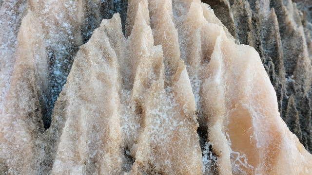 Cardona lapiaz de sel (photo M. Wienin)