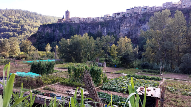 Castellfollit de la Roca Coulée (photo M. Wienin)