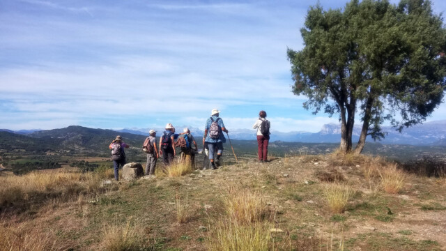Vue sur les Pyrénées