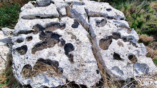 Cupules au Vallon des Bousques (photo JP Rolley)