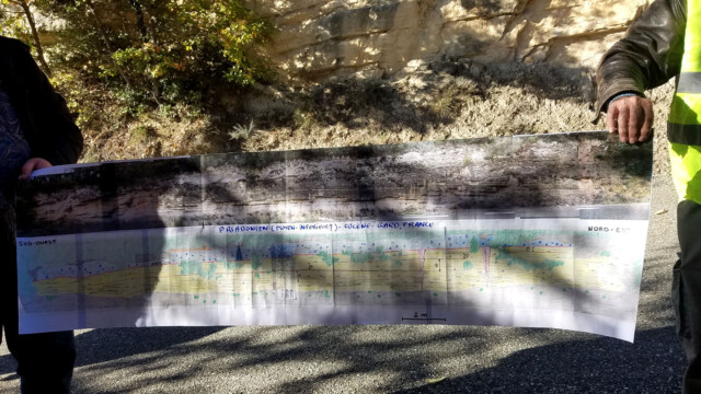 Affleurement niveaux à grés en bordure de la D981 (Monteils), interprétation Musial (Photo A. Touzillier)