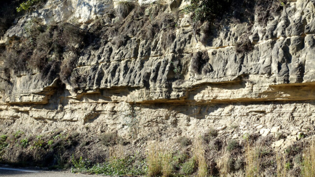 Une vue de l'affleurement (photo A. Touzillier)