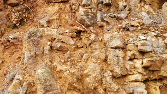 10. Grès coquillers et sables rouges du Crétacé supérieur marin de Montoulieu (photo M. de Gouvenain