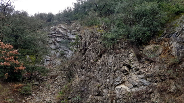 Faille des Cévennes - zone broyée et comprimée - St-Hippolyte-du-Fort D39 (photo M. de Gouvenain)
