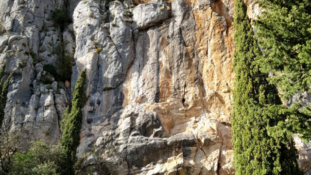 Gorges de l'Hérault au niveau de la grotte des Demoiselles (photo M. de Gouvenain)