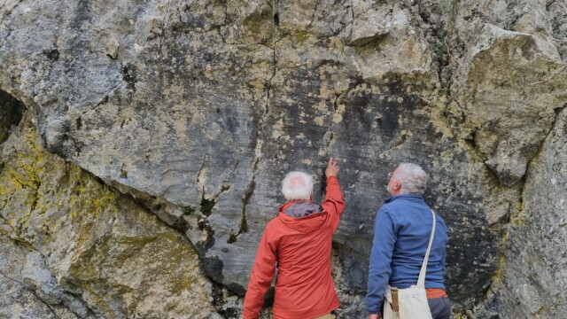Stries horizontales sur une amande de Jurassique le long de la Faille des Cévennes (photo P. Gaubert)