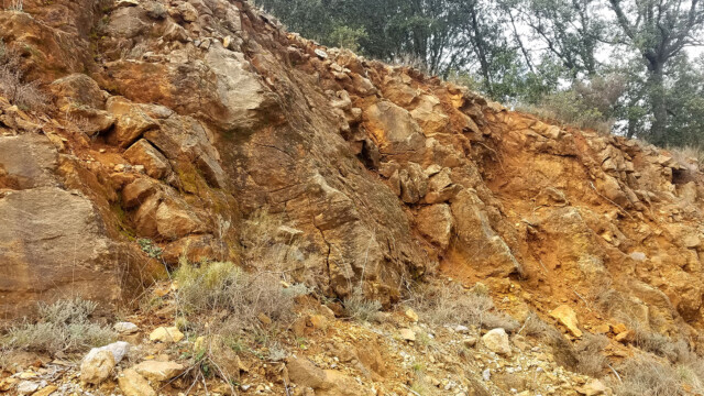 Grès coquillers et sables rouges du Crétacé supérieur marin de Montoulieu
