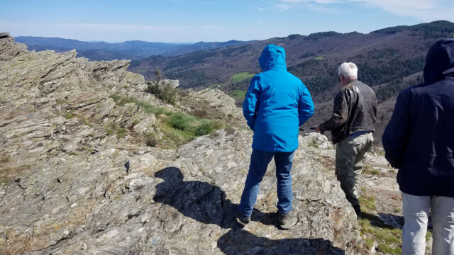 Micaschistes gris-vert quartzeux de Mollezon (corniche des Cévennes)