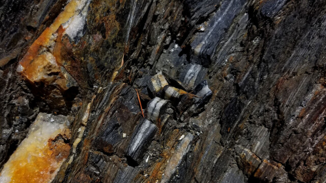 Amandes de quartz dans les schistes graphiteux au Col de l'Exil