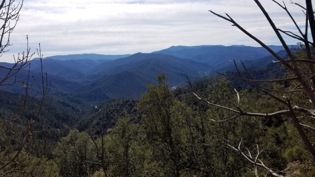 Vue sur l'Aigoual depuis le col de l'Exil (corniche des Cévennes)