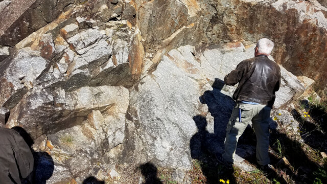Orthogneiss