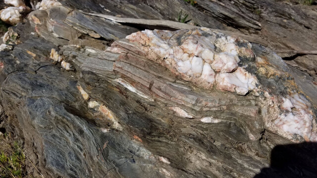 Schiste bleuté à amandes de quartz.