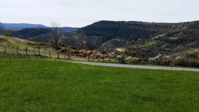 Discordance du causse du Pompidou sur les micaschistes des Cévennes. (photo A. Touzillier)