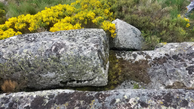 Carrière préhistorique de granite des Bondons