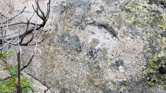 Bloc montrant le contact entre le granite du Pont de Montvert et celui du Bougès