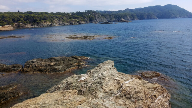 Phyllades - Pointe du Brusc (lambeaux du massif hercynien)