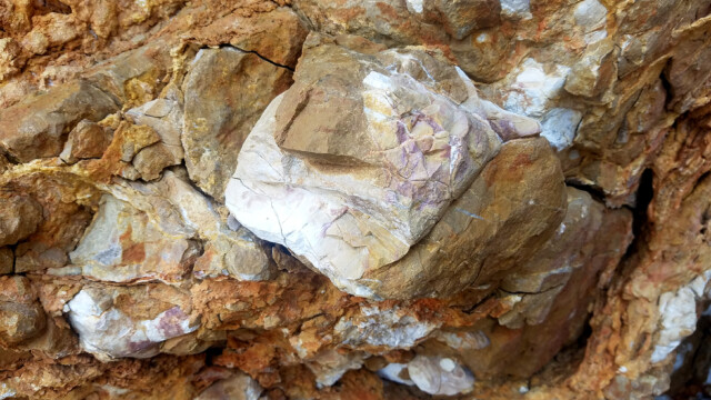 Pointe de la Cride - strates du Bajocien - calcaire avec chailles siliceux