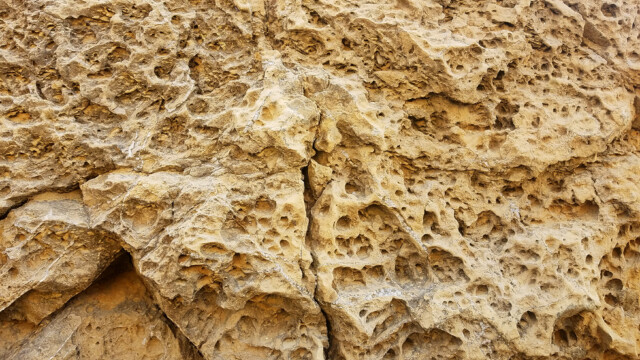 Figures d'érosion sur les calcaires bajociens - Pointe de la Cride