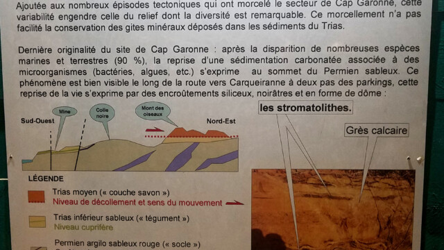 Cap Garonne
