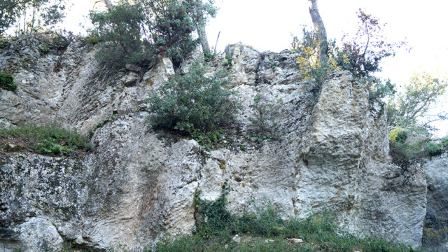 Vue sur un des fronts de taille (photo R. Guin)