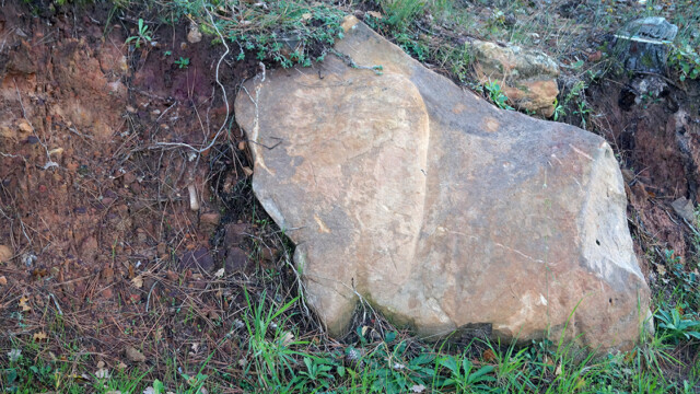 Bloc de quartzite sédimentaire (photo R. Guin)