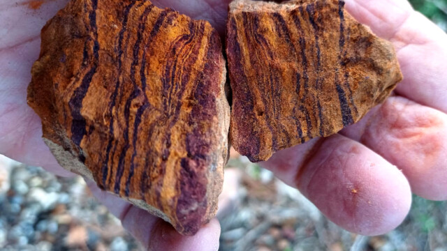 Grès rouges avec niveaux ferrugineux (photo M. de G.)